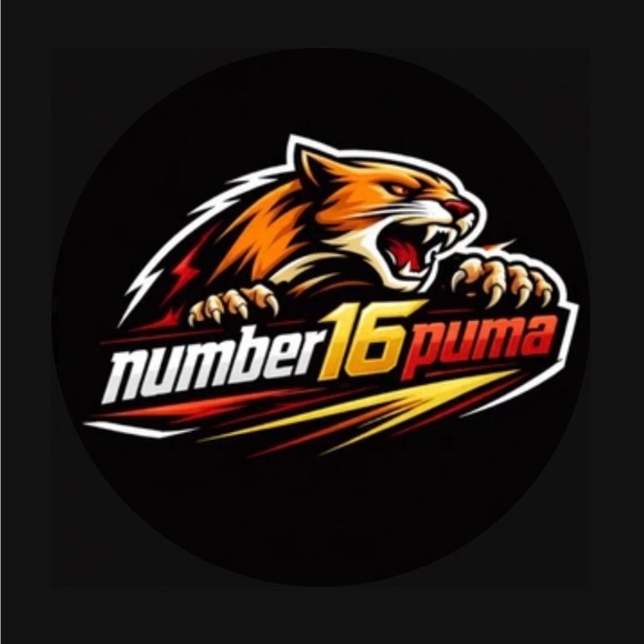 number16puma